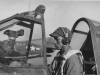 N-3 in a P-40