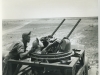 N-5 Gunsight